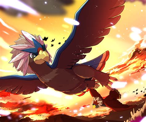 Braviary .
